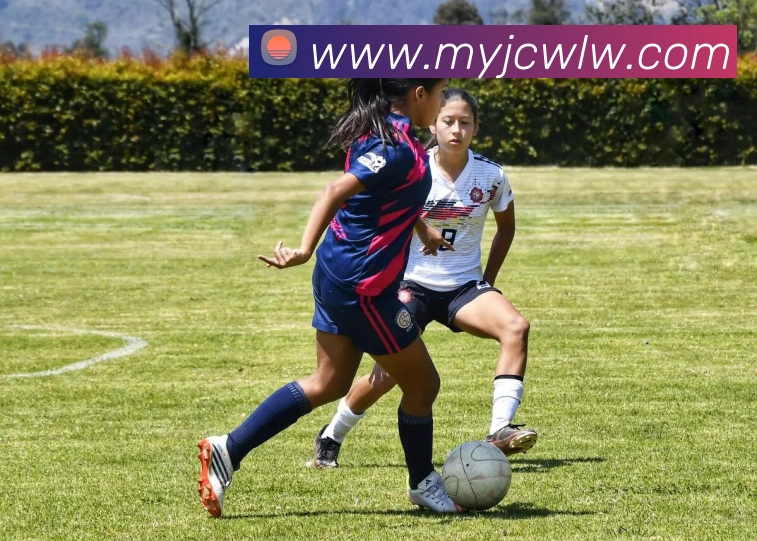 体育App 体育App